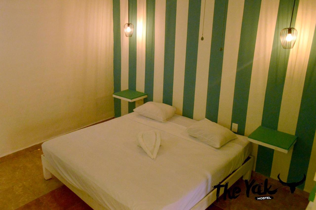 The Yak Hostel 신데 델 카르멘 외부 사진