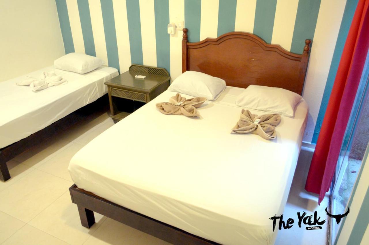 The Yak Hostel 신데 델 카르멘 외부 사진