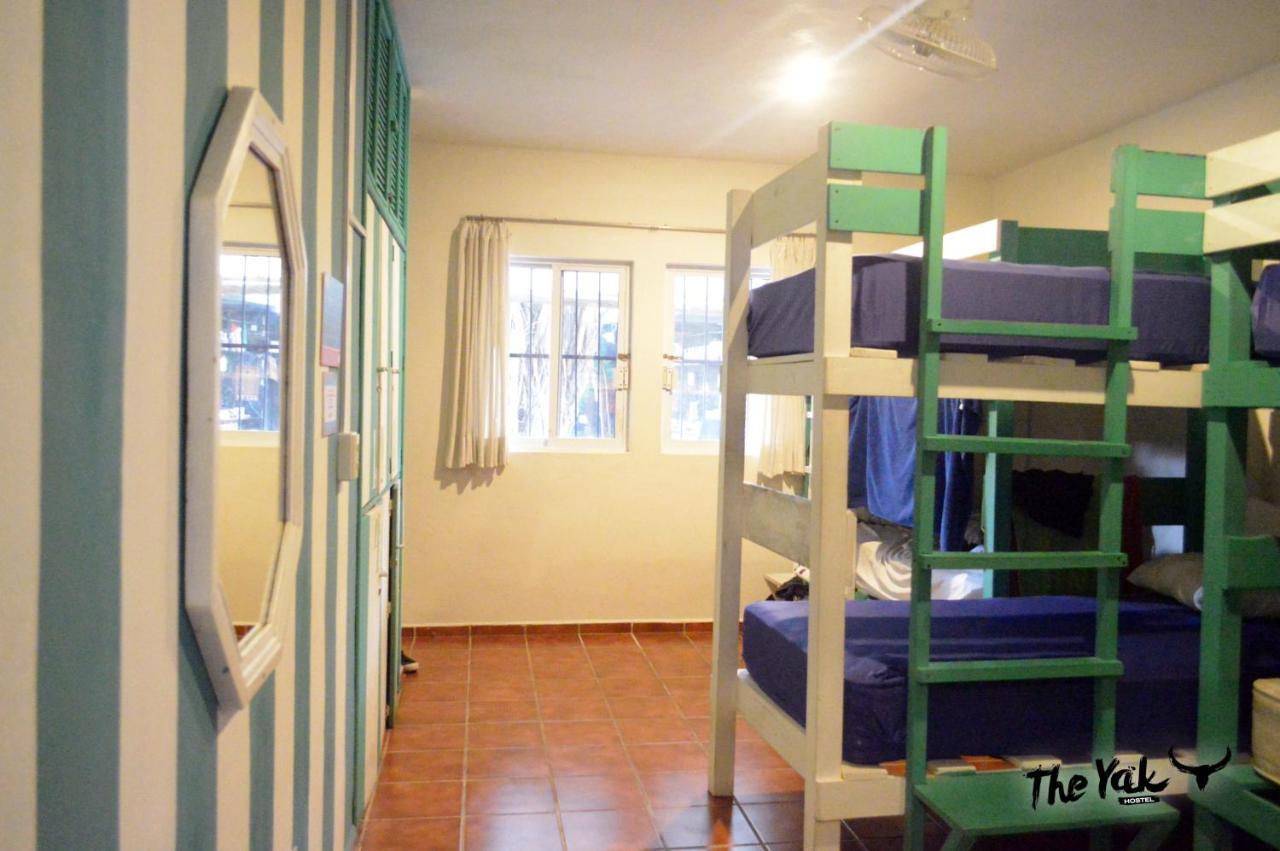 The Yak Hostel 신데 델 카르멘 외부 사진