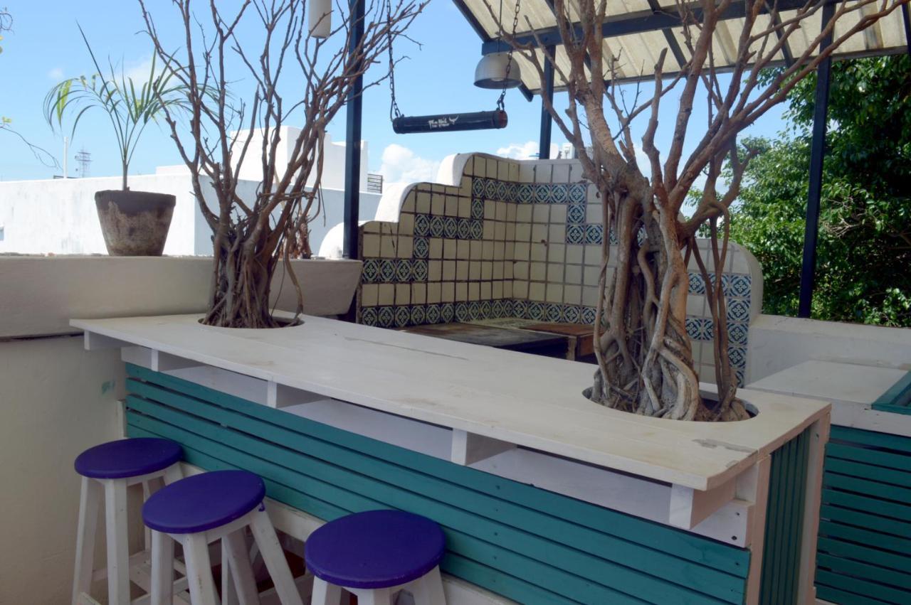 The Yak Hostel 신데 델 카르멘 외부 사진